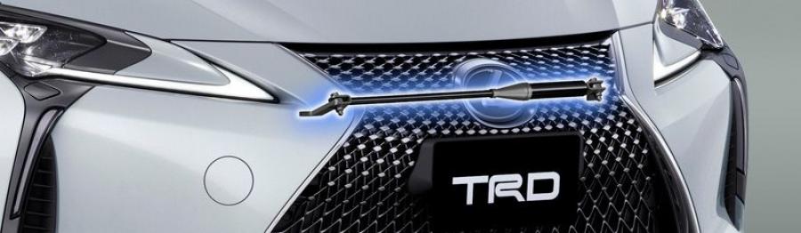Детали экстерьера Lexus LC500 Convertible by TRD 2020 года  (JP) (фото 7 из 16)